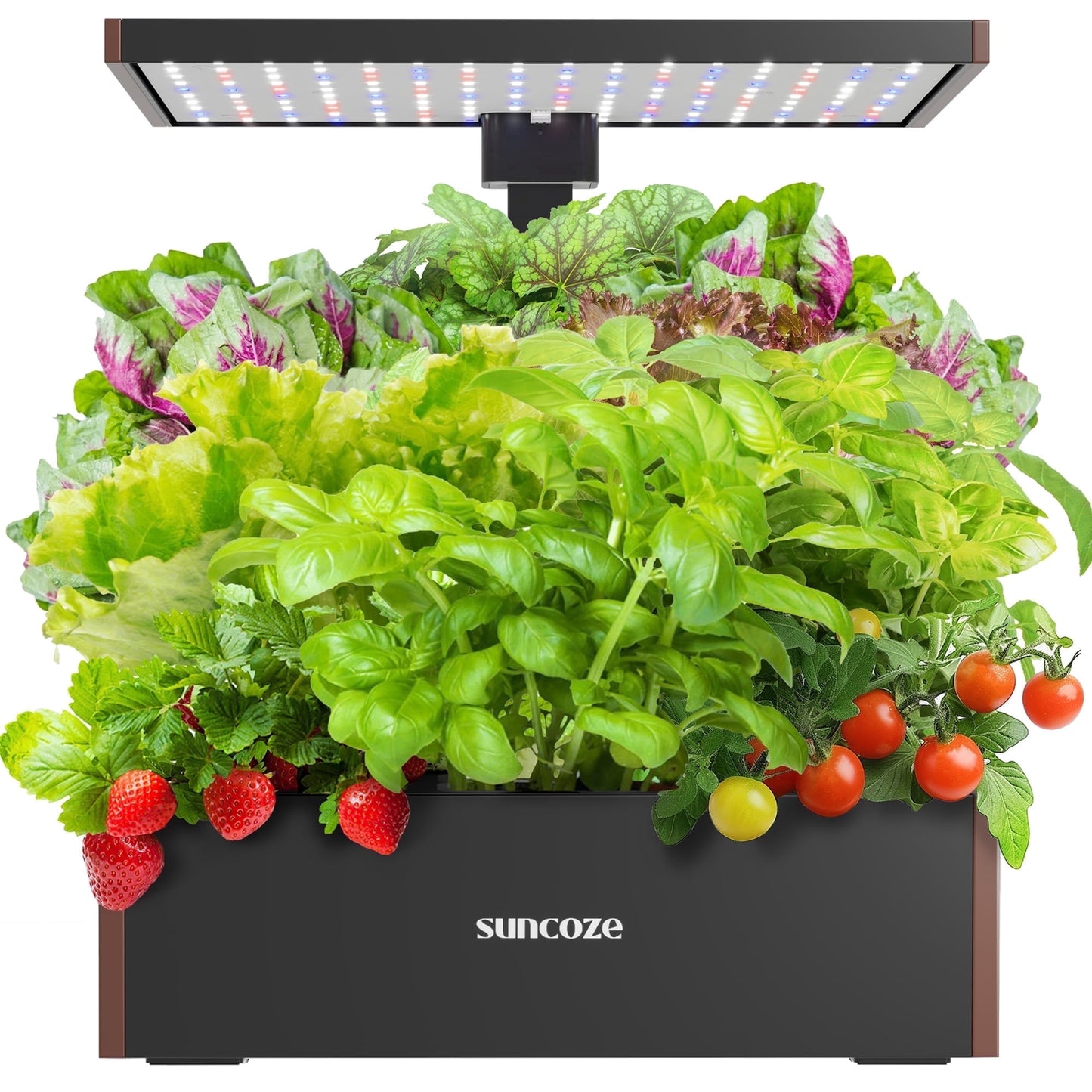 Hydroponics Growing System Kit, 20 Pod Indoor Herb Garden with 10L Water Tank and LED Grow Light, Black
