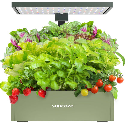 Hydroponics Growing System Kit, 20 Pod Indoor Herb Garden with 10L Water Tank and LED Grow Light, Black