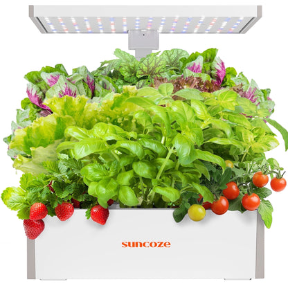 Hydroponics Growing System Kit, 20 Pod Indoor Herb Garden with 10L Water Tank and LED Grow Light, Black