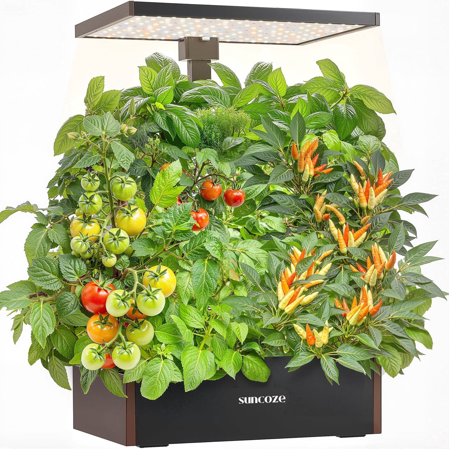 Hydroponics Growing System Kit, 20 Pod Indoor Herb Garden with 10L Water Tank and LED Grow Light, Black
