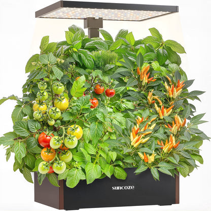 Hydroponics Growing System Kit, 20 Pod Indoor Herb Garden with 10L Water Tank and LED Grow Light, Black